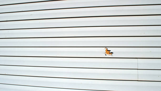 Siding for Multi-Family Homes in Bangor Base, WA